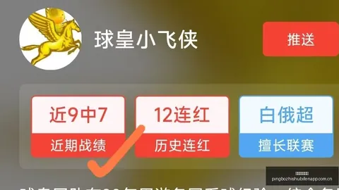 2026野赛攻略：连胜秘诀，数据规律助你一抓即中